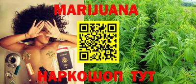 прущие грибы Камышлов