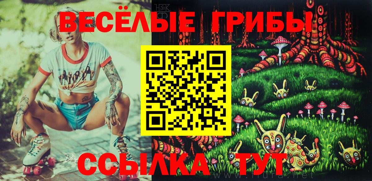 Галлюциногенные грибы мухоморы Краснодар